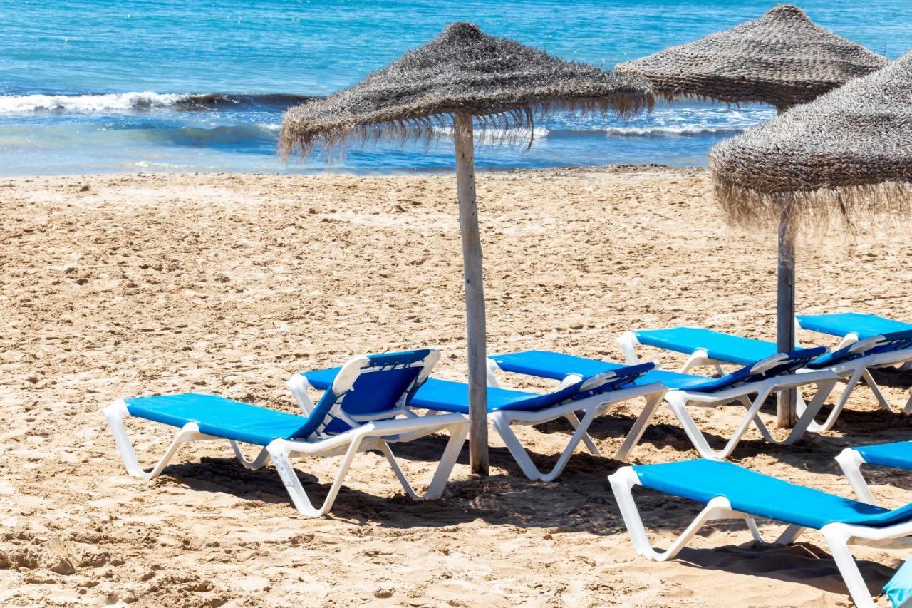 Los Gases 52 Torrevieja Dış mekan fotoğraf